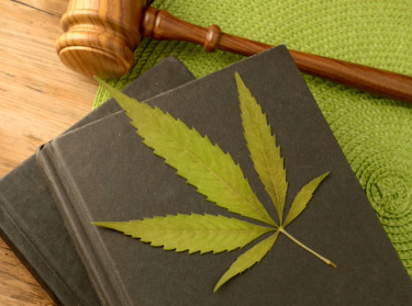 Legal defence systems